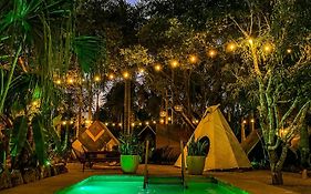 Bufo Alvarius Sanctuary Bacalar